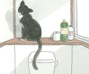 トイレのお猫様