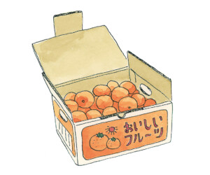 みかん箱